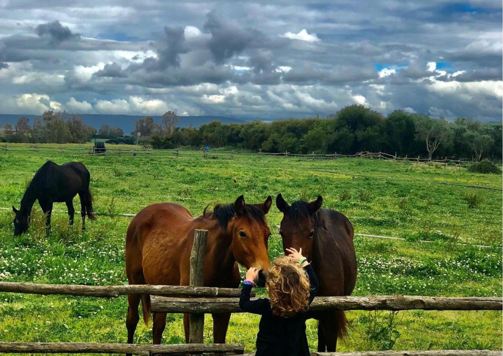 Agriturismo Sa Mandra Casa Minnina Eksteriør bilde